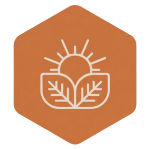 Orangefarbenes Logo in Sechseckform mit einer Sonne und Blättern, das für natürliche Inhaltsstoffe steht.
